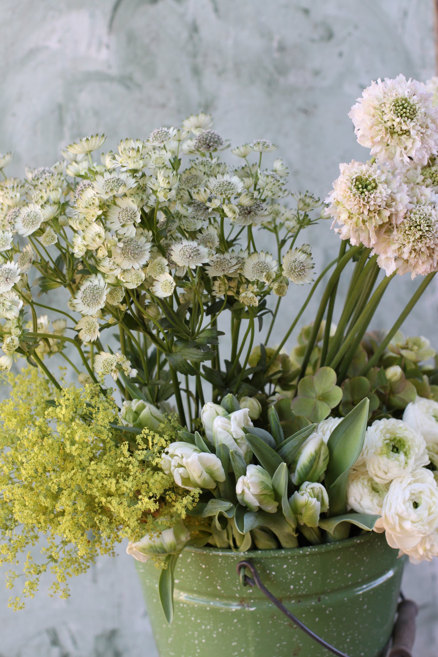 Vårblomster