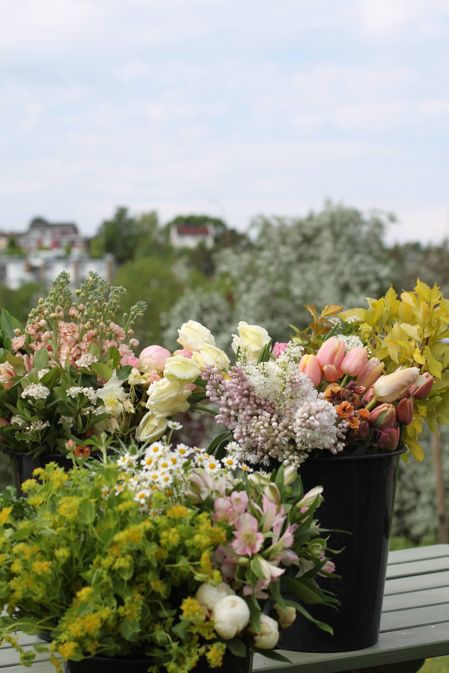 Vårblomster