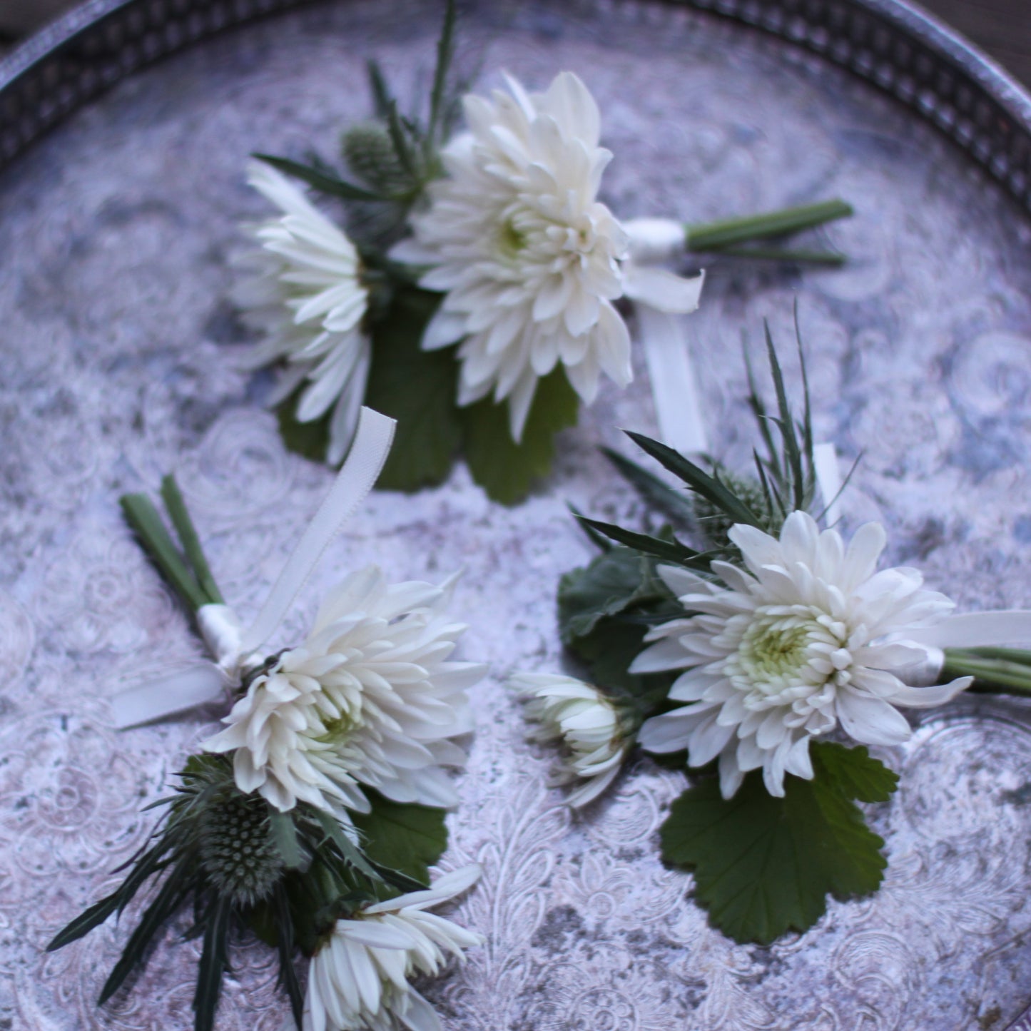Knapphullsblomst