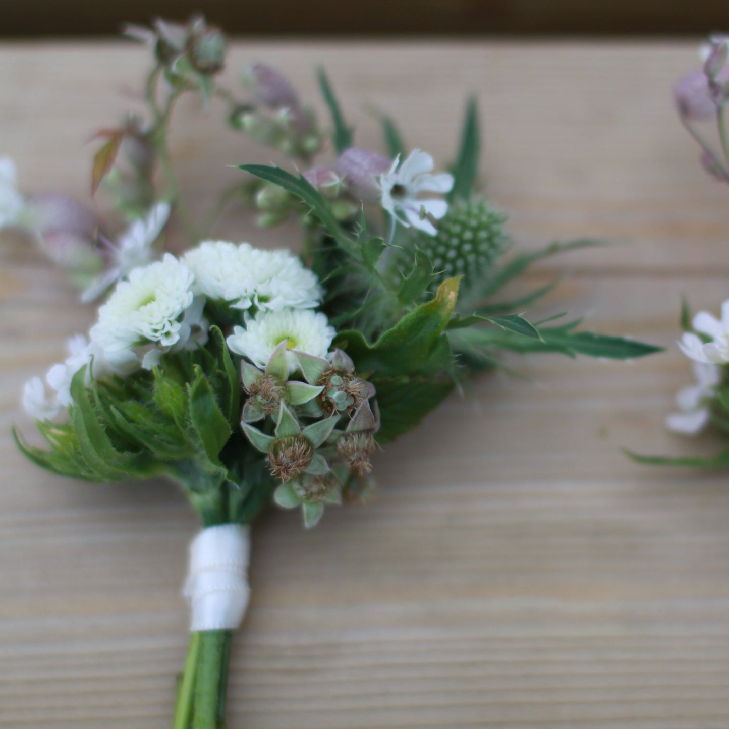 Knapphullsblomst