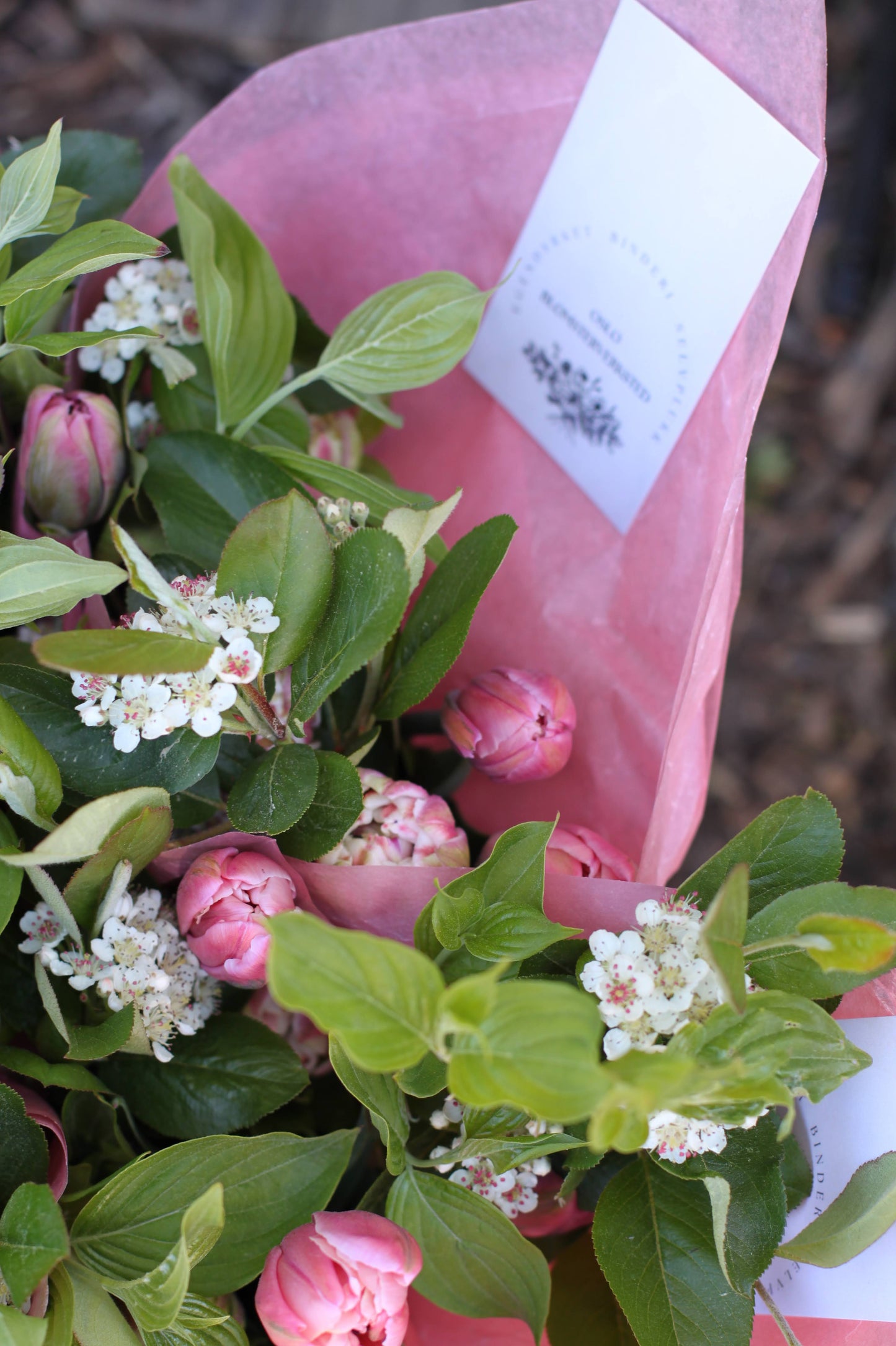 Vårblomster