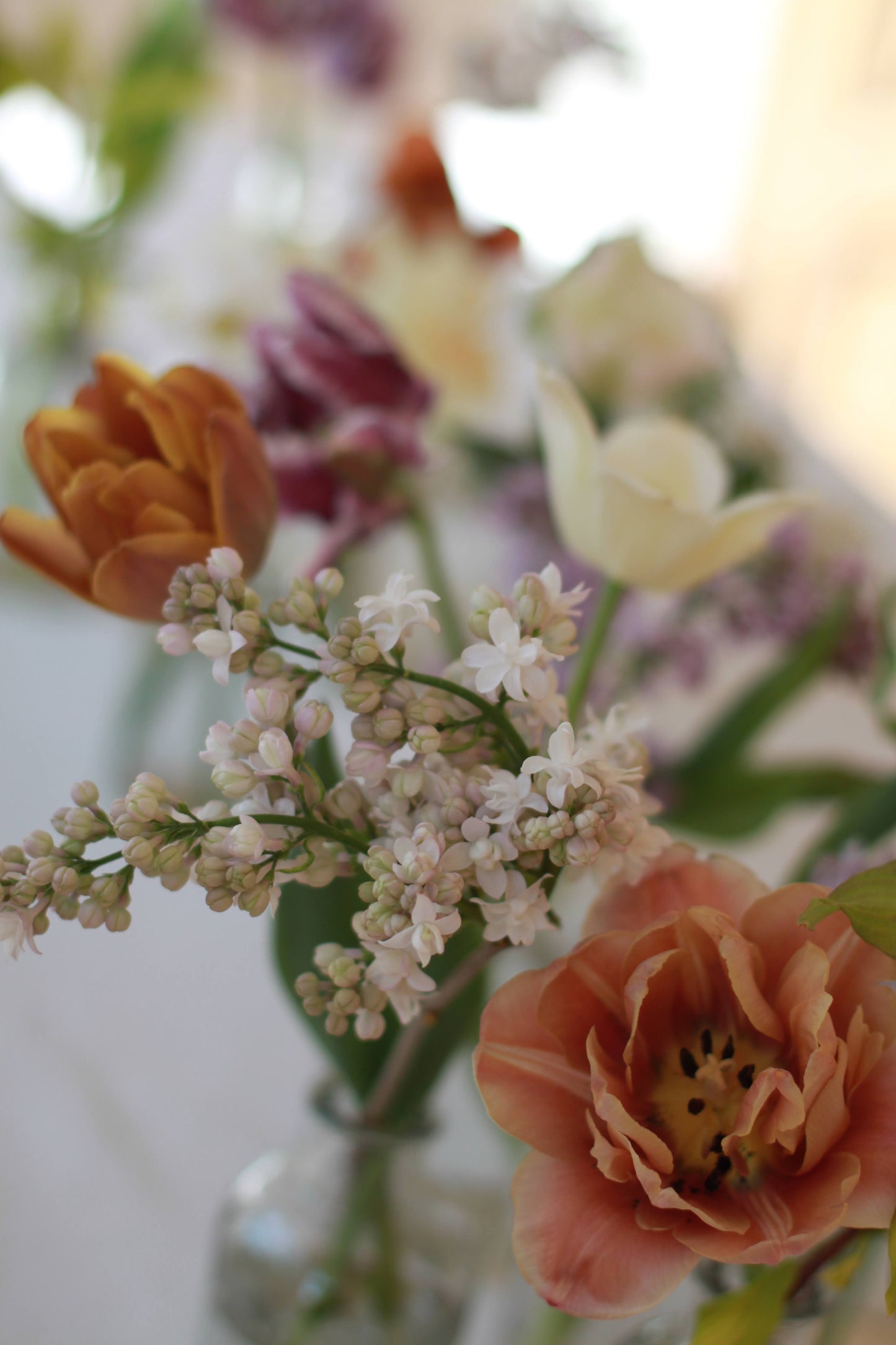 Vårblomster