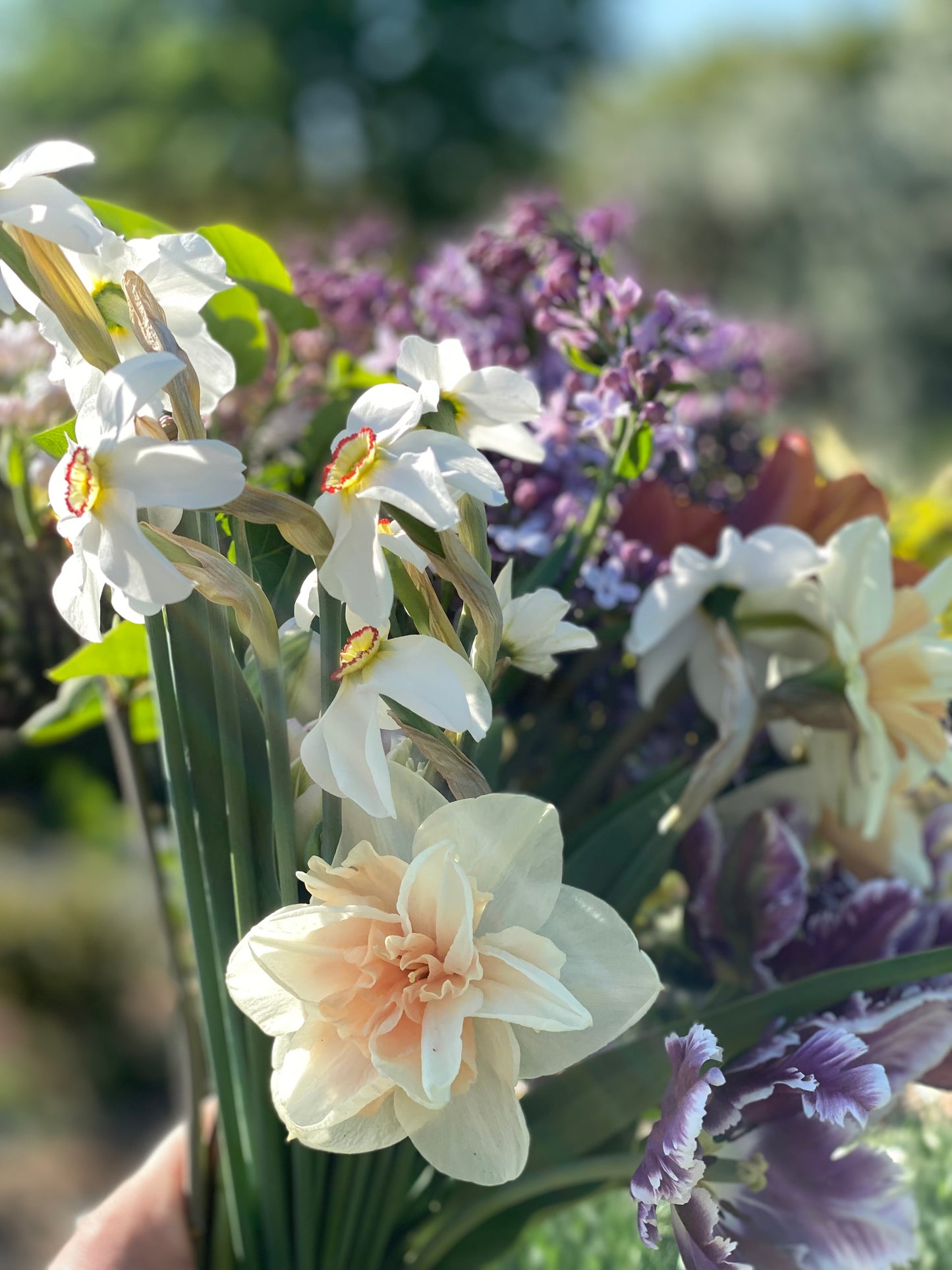Vårblomster