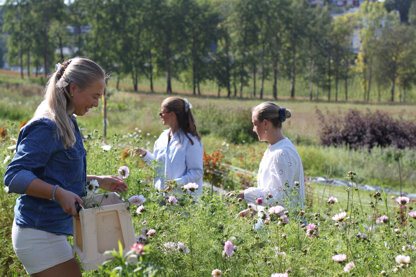 Bukettkurs 3. juli