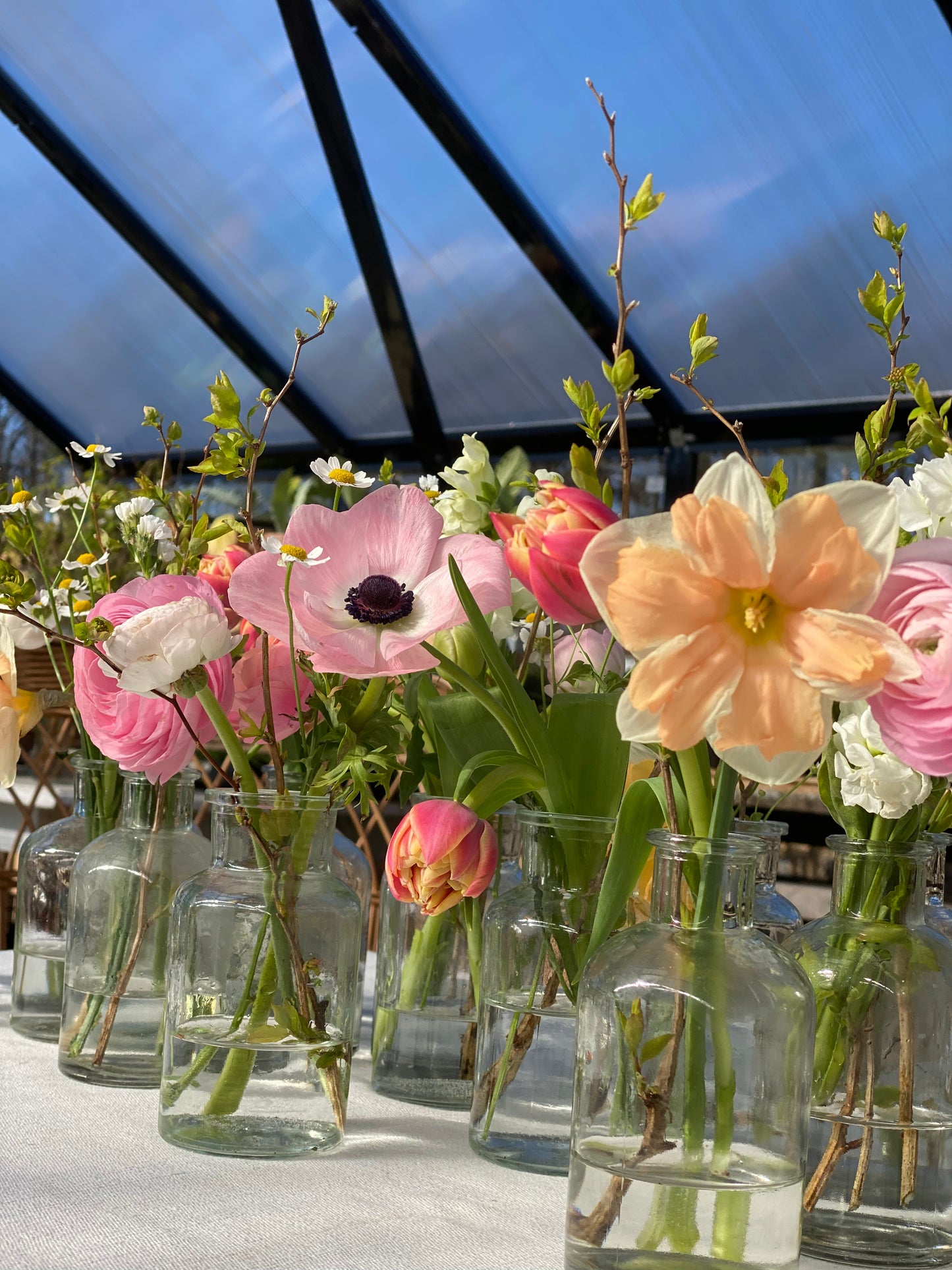 Vårblomster