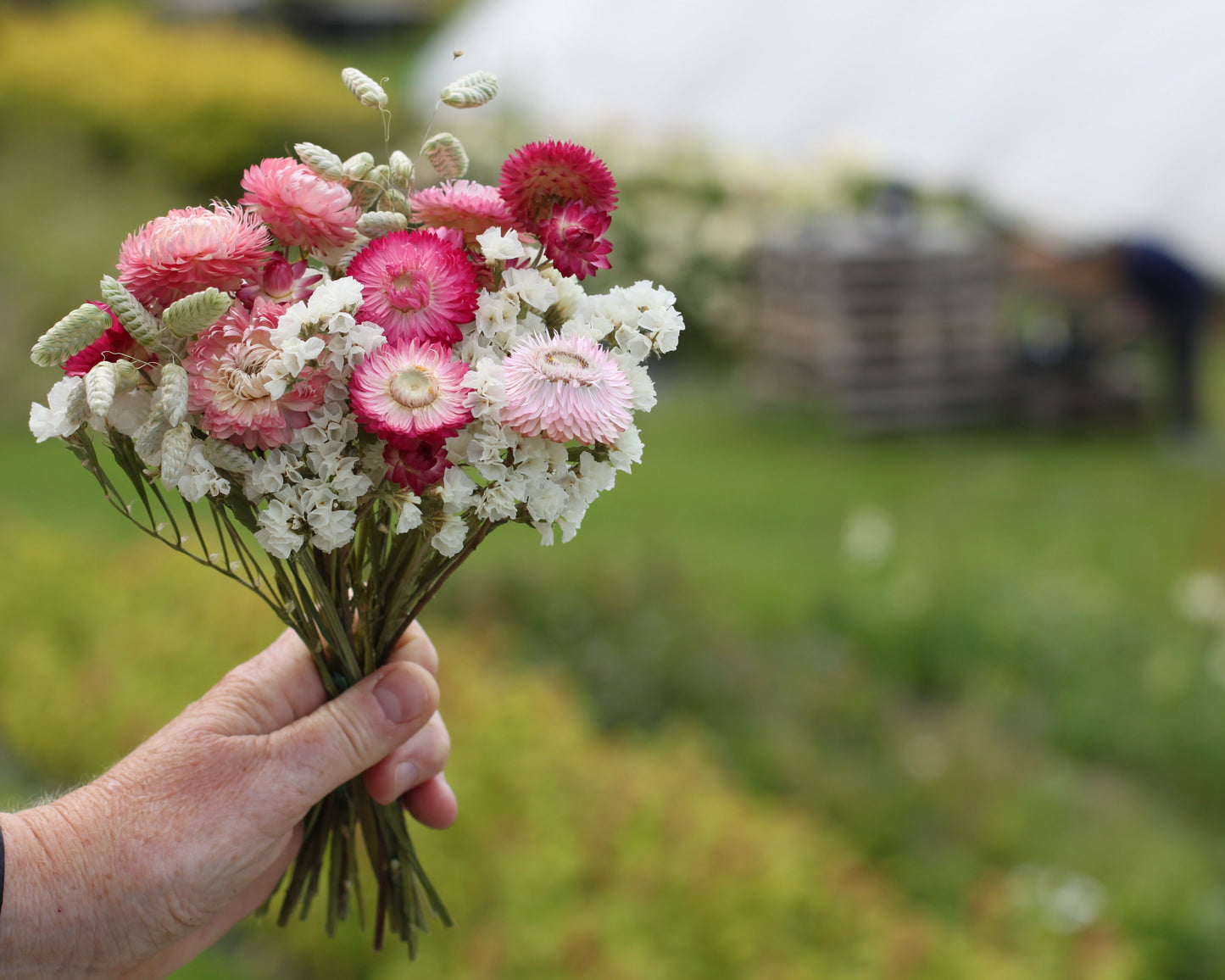 Binderi med tørkede blomster