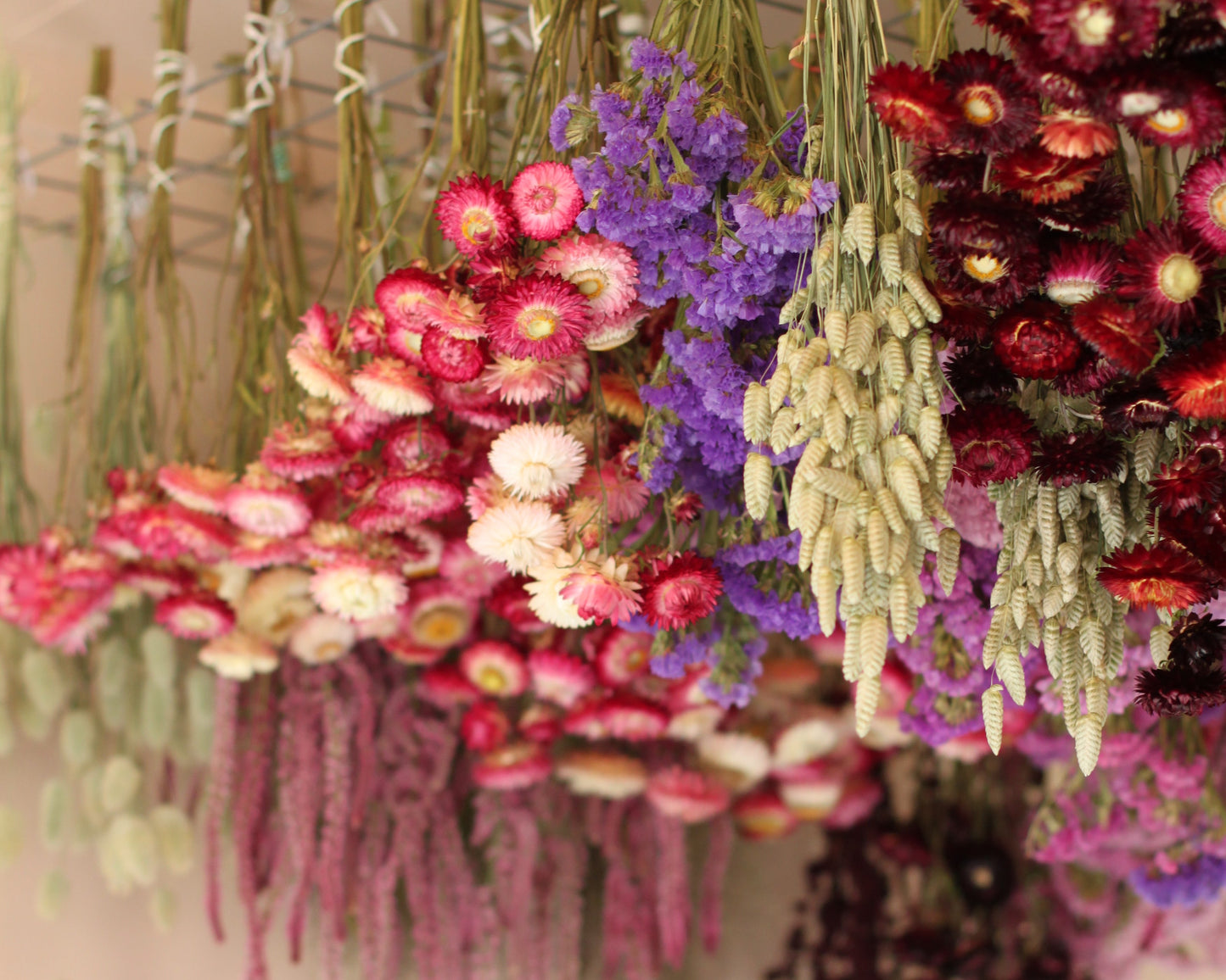 Binderi med tørkede blomster