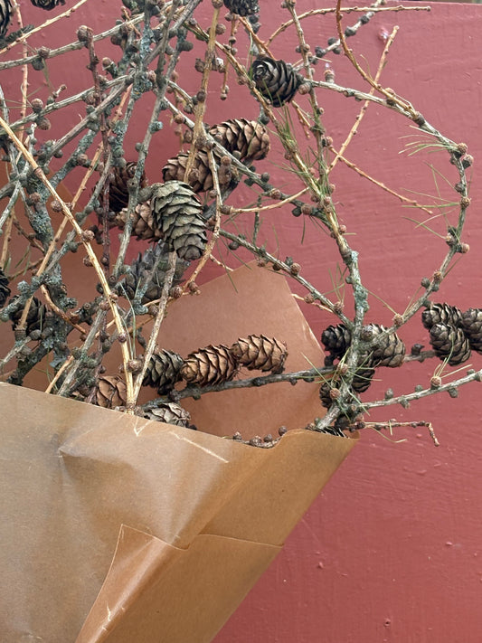 Bunt med lerkekvister