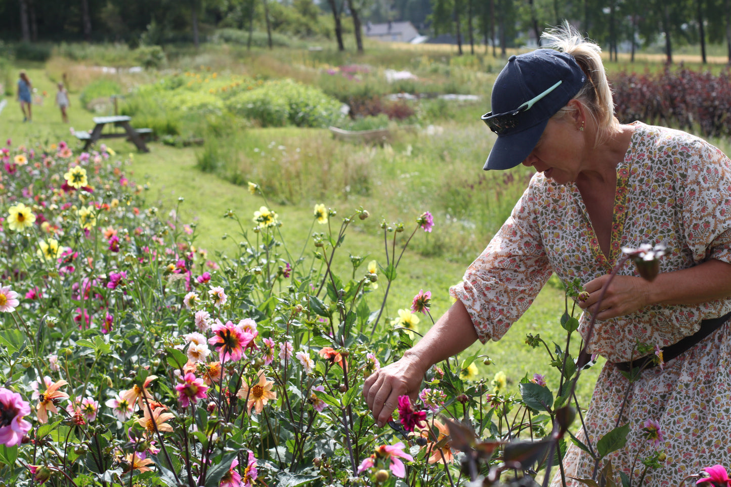Medlemskap Oslo Blomsterverksted