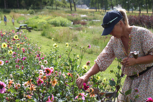 Medlemskap Oslo Blomsterverksted
