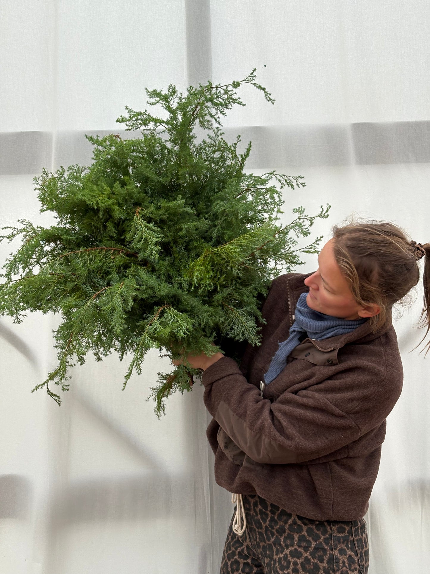 Materialpose - squarrosa