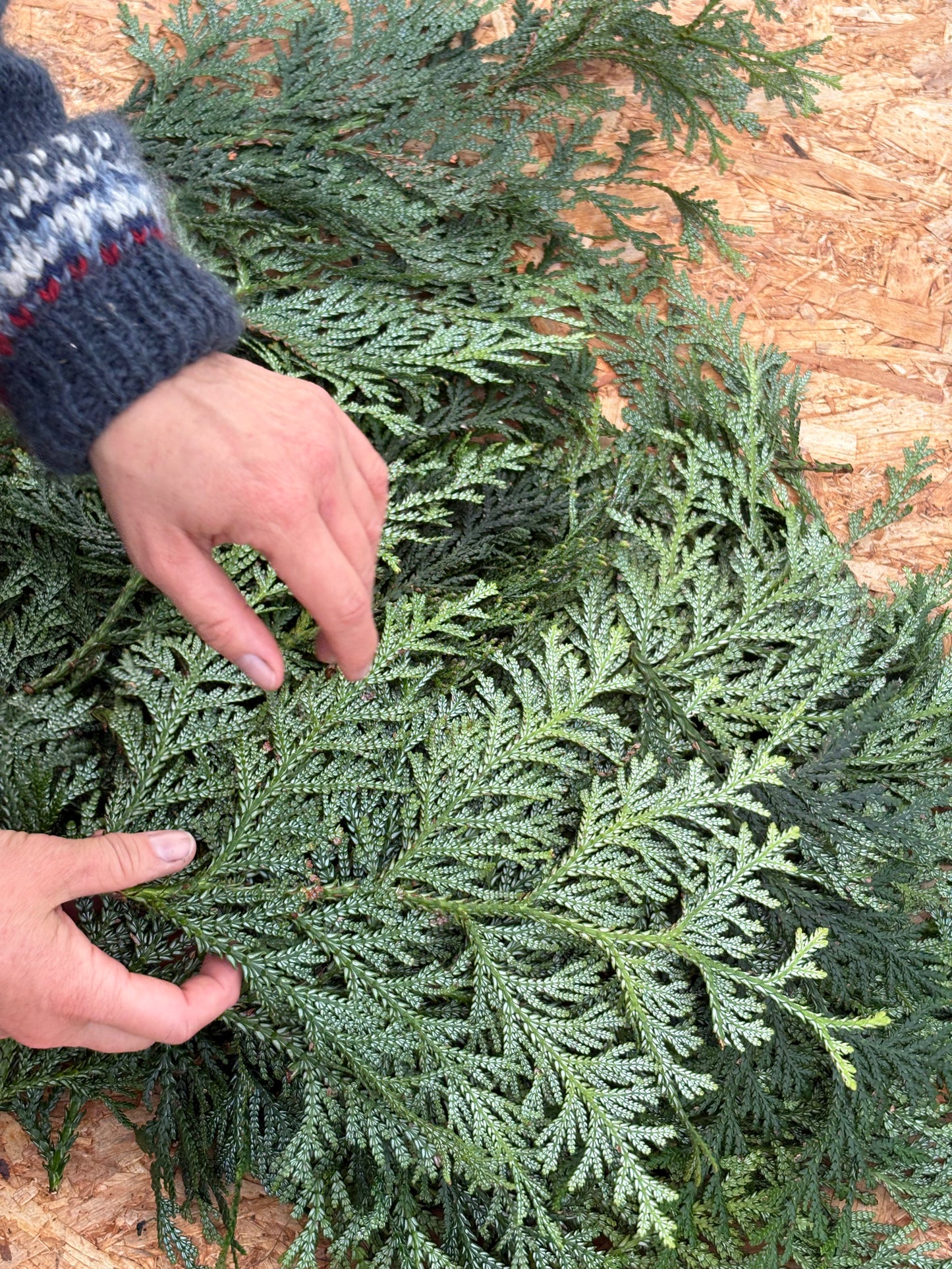 Materialpose - voksthuja