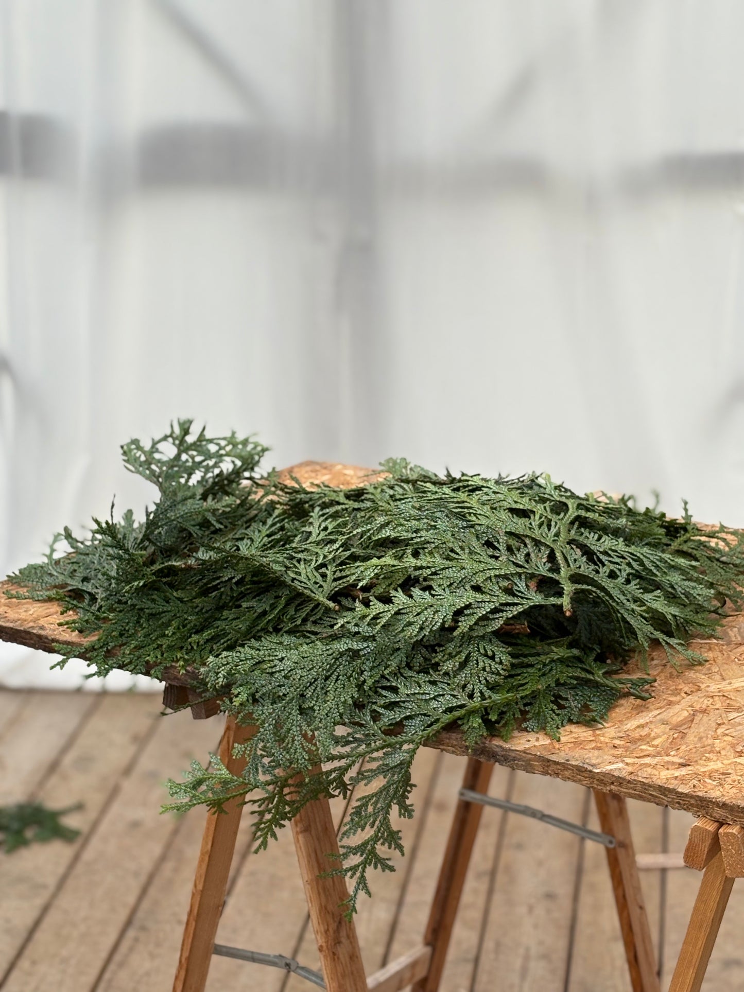 Materialpose - voksthuja