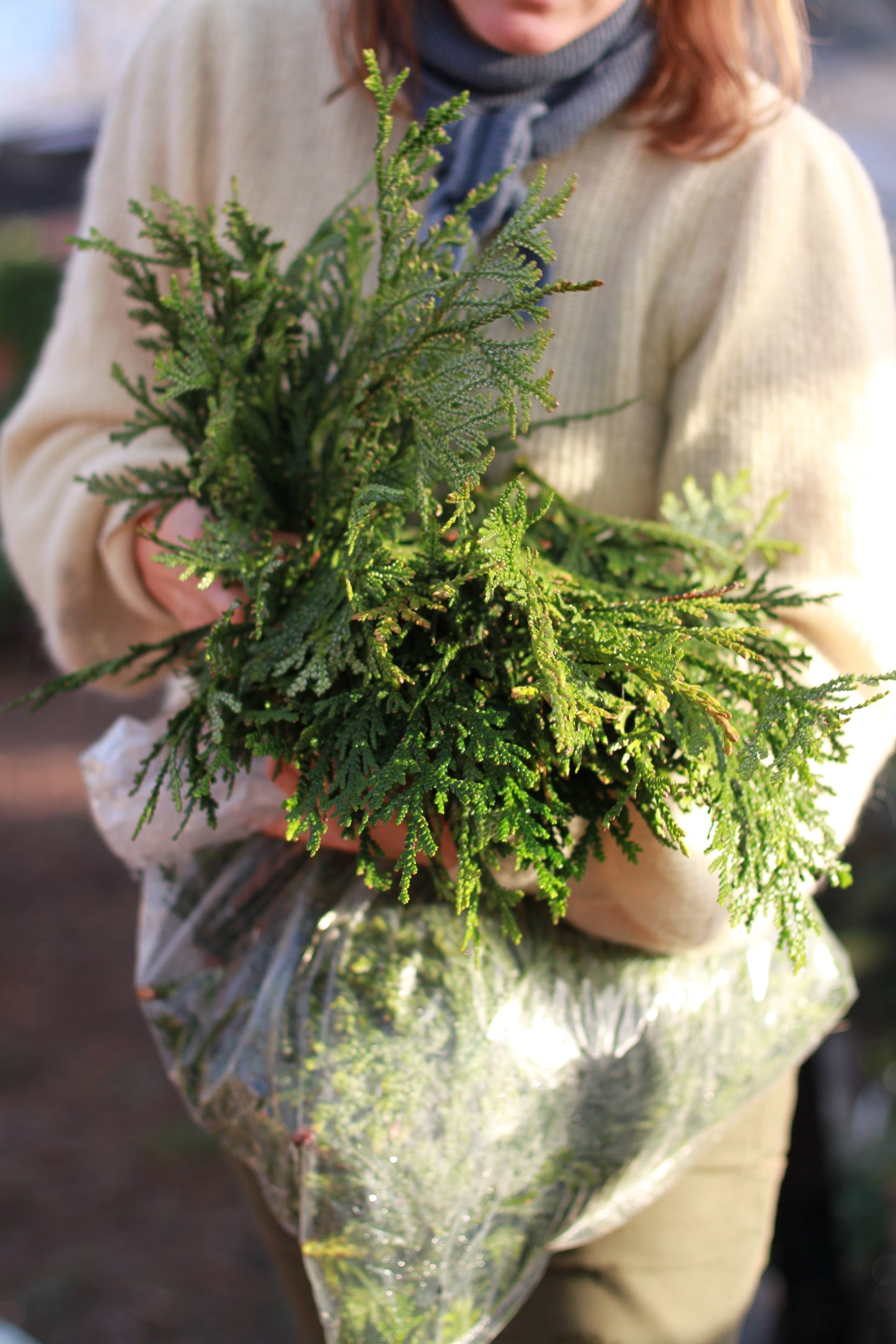 Materialpose - voksthuja