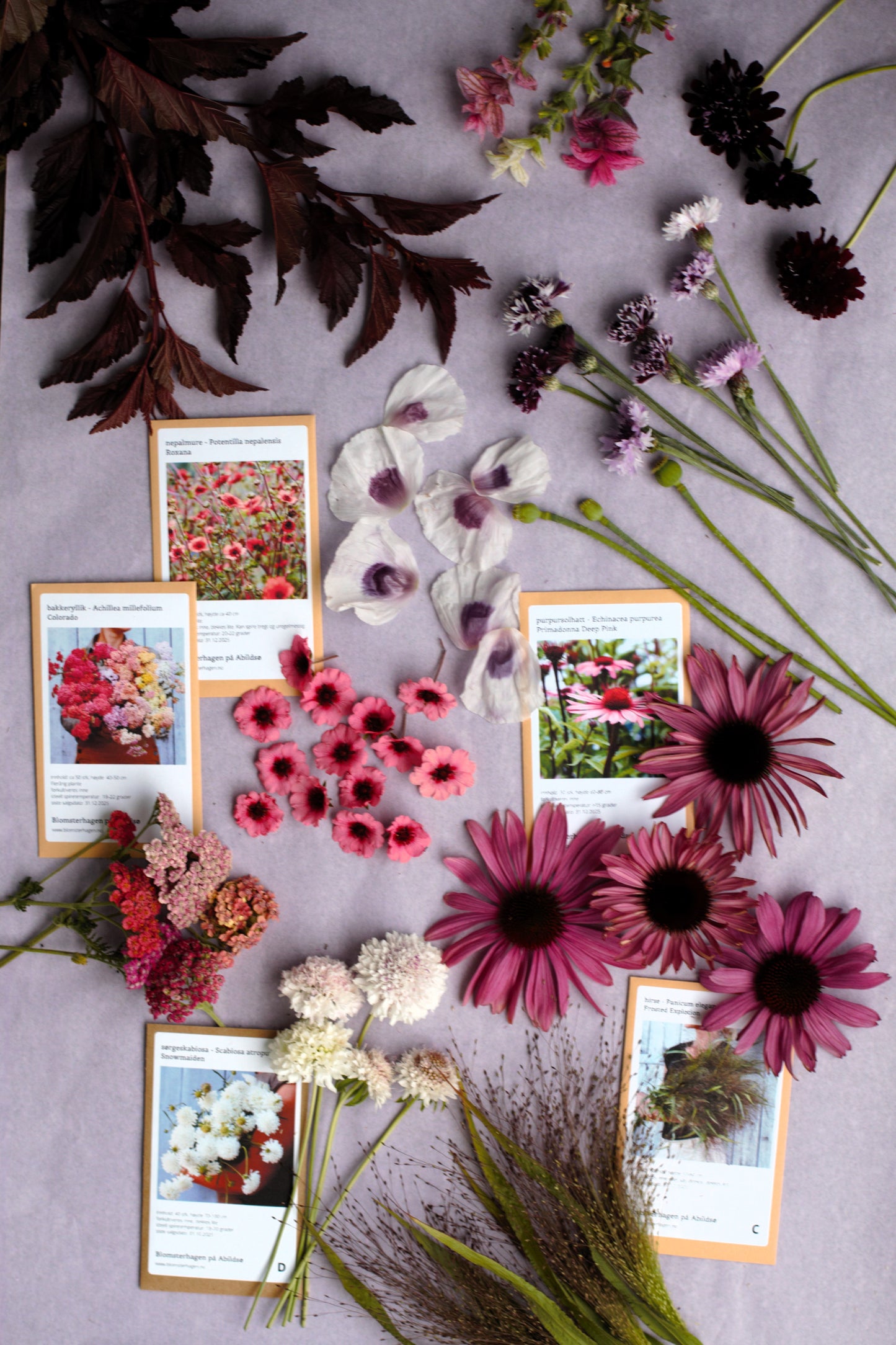 Medlemskap Oslo Blomsterverksted