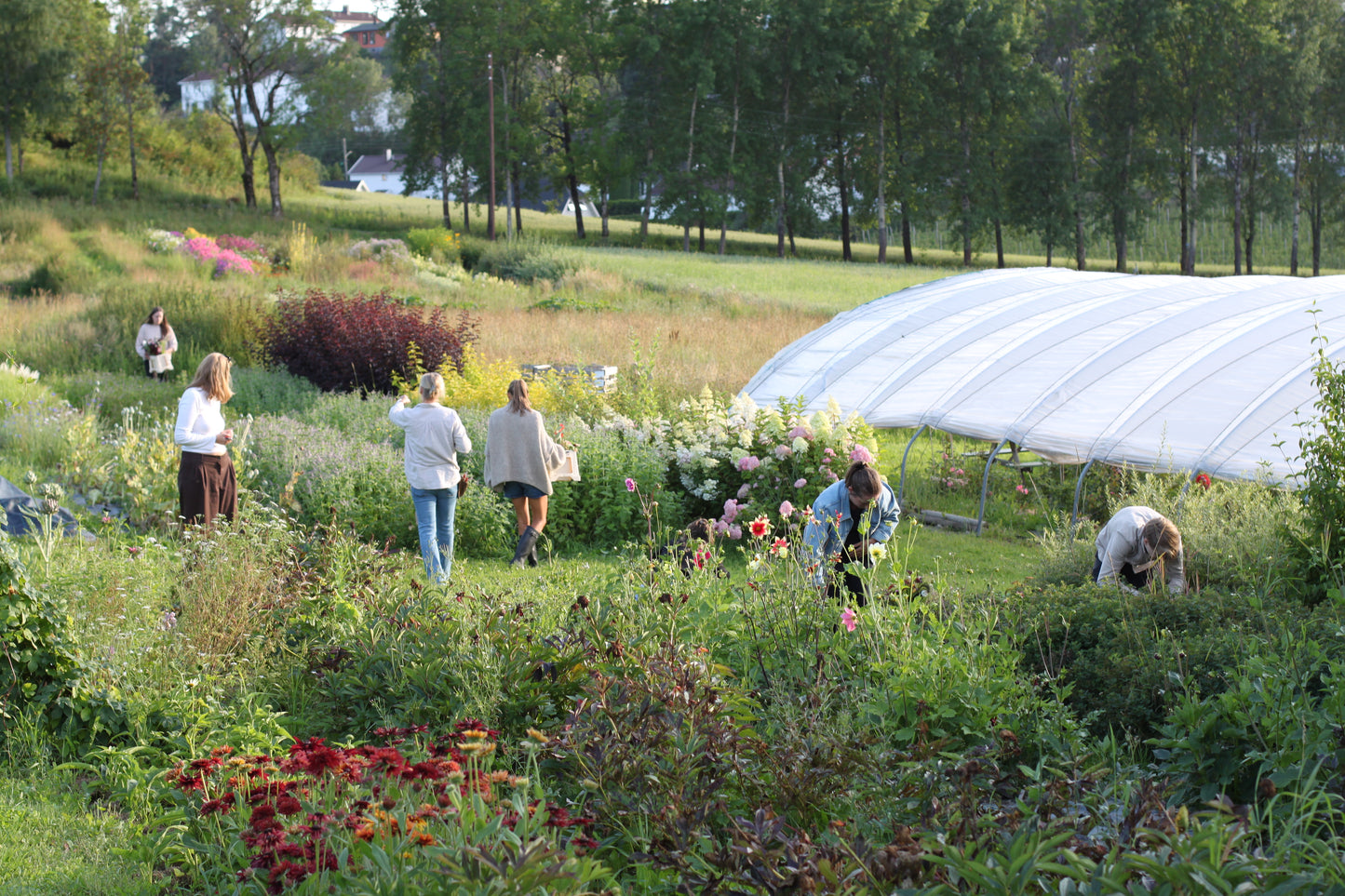 Bukettkurs 28. august