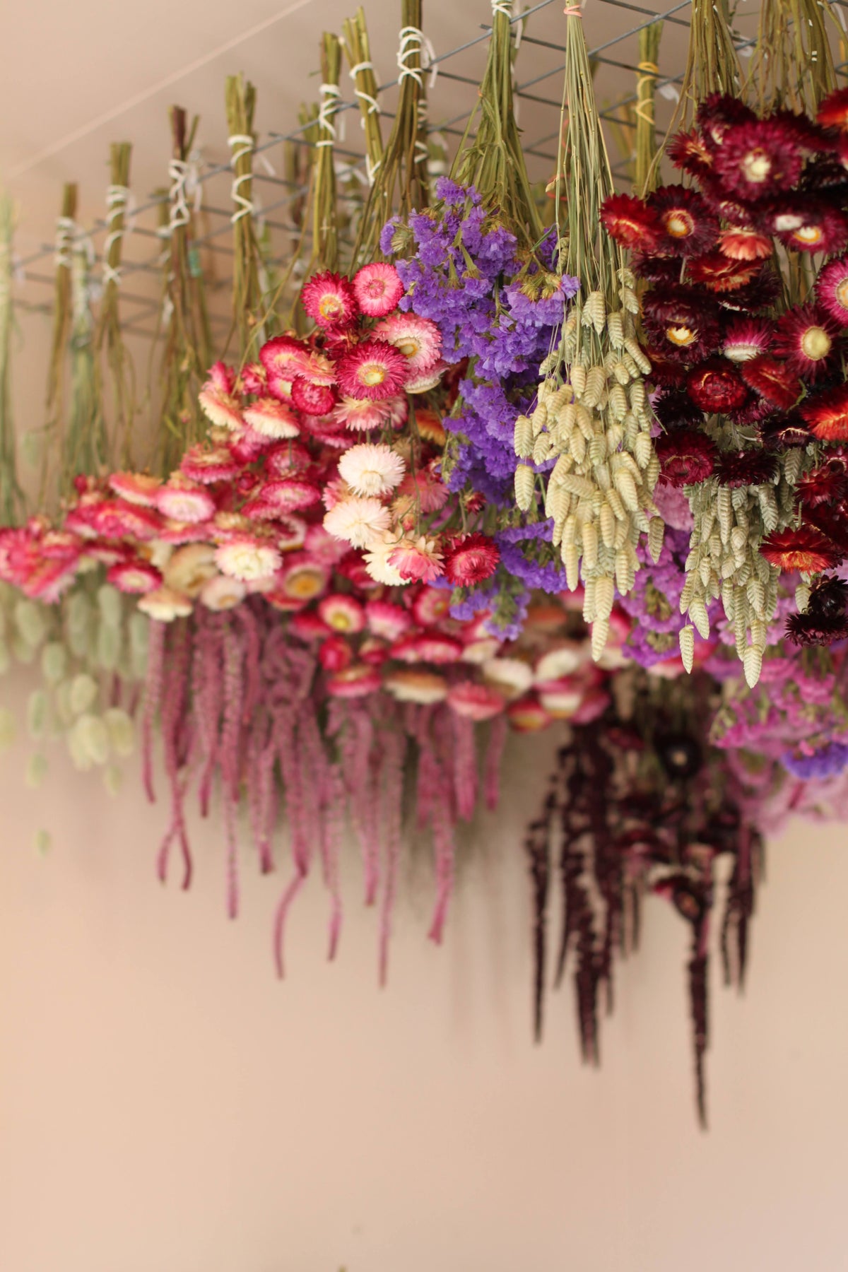 Tørket blomsterpynt – høststråblomst
