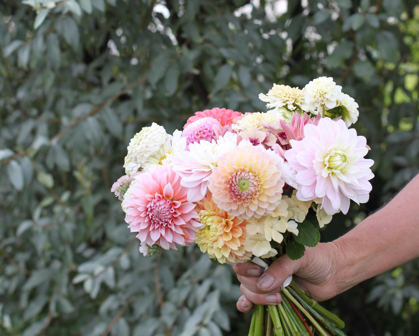 Brudebukett med åkervandring